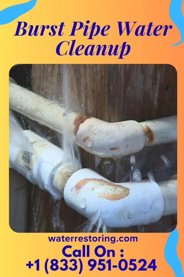 Burst Pipe Water Cleanup in Dover, MN