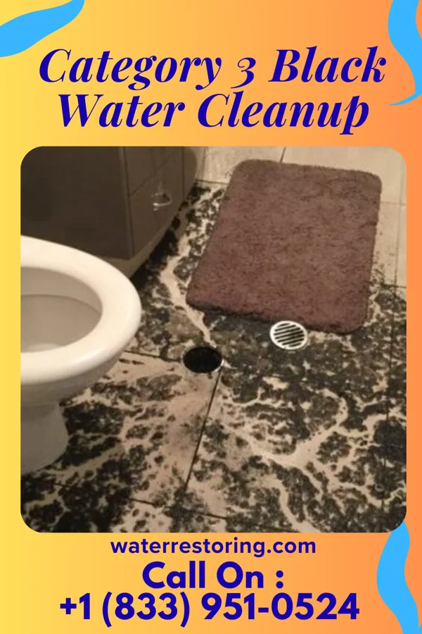 Category 3 Black Water Cleanup in Dover, MN