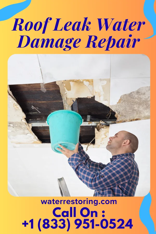 Roof Leak Water Damage Repair in Dover, MN